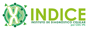 INDICE